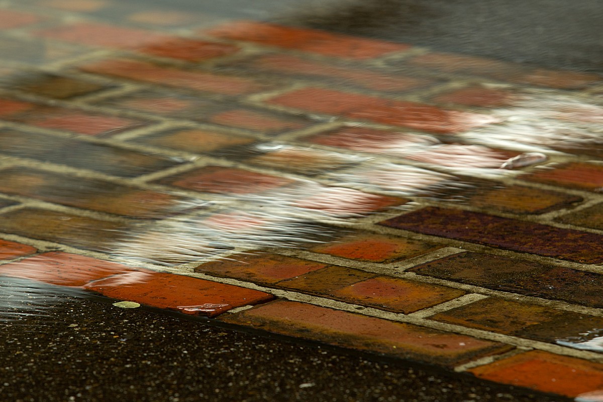 La Brickyard 400 se pospone por lluvia en el IMS