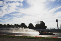 Stoffel Vandoorne, McLaren MCL32