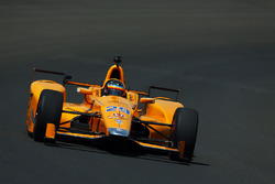 Fernando Alonso, Andretti Autosport, Honda