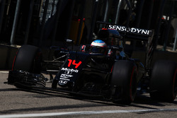 Fernando Alonso, McLaren MP4-31