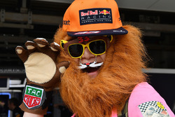 Max Verstappen, Red Bull Racing fan