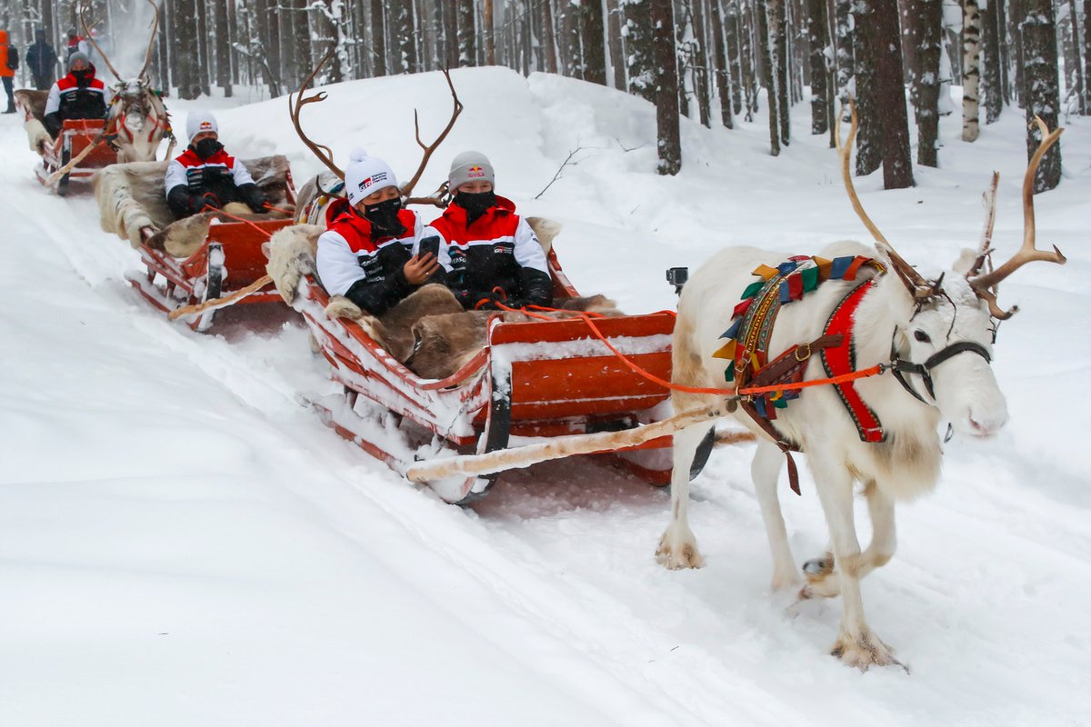 Archive from the 2021 Arctic Rally. Guilty reindeer not pictured.