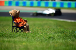 Nico Rosberg, Mercedes AMG F1 W07 Hybrid geeft een teddybeer aan