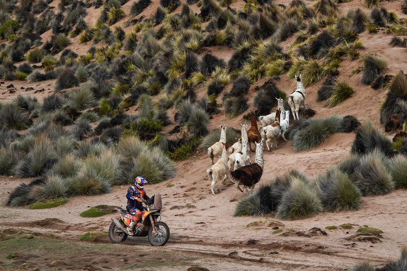 #8 Red Bull KTM Factory Racing KTM: Тобі Прайс