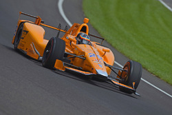 Fernando Alonso, Andretti Autosport, Honda