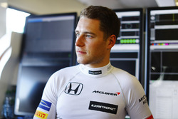 Stoffel Vandoorne, McLaren