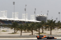 Stoffel Vandoorne, McLaren MCL32
