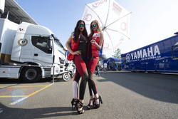 Grid Girls