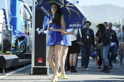 Lovely grid girls