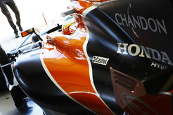 Fernando Alonso, McLaren