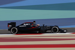 Stoffel Vandoorne, McLaren MP4-31
