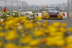 Tom Coronel, Roal Motorsport, Chevrolet RML Cruze TC1