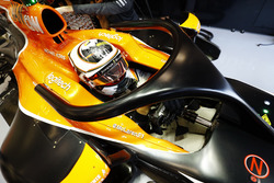 Stoffel Vandoorne, McLaren, Haloyla