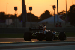 Stoffel Vandoorne, McLaren MCL32