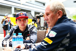 Helmut Marko, Red Bull Racing, Berater, mit Max Verstappen, Scuderia Toro Rosso
