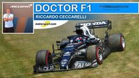 Ceccarelli: