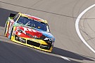 Kyle Busch dominance at Bristol questioned by the unknowns Kyle Busch dominance at Bristol questioned by the unknowns