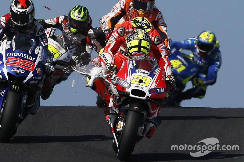 Iannone choca con una gaviota durante el GP de Australia
