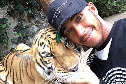 Hamilton y un tigre en México