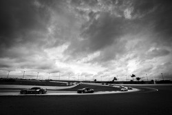 SCC: Homestead