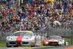 AF Corse车队62号法拉利F458 Italia GT3: Thomas Flohr, Stuart Hall, Francesco Castellacci