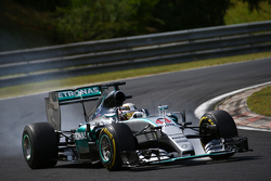 Lewis Hamilton, Mercedes AMG F1 W06 locks up under braking