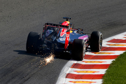 Daniel Ricciardo, Red Bull Racing RB11