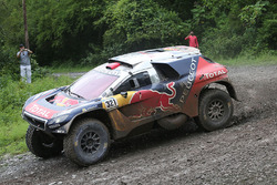 #321 Peugeot: Cyril Despres, David Castera