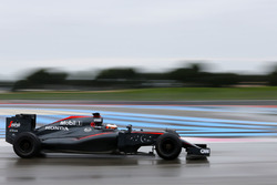 Stoffel Vandoorne, McLaren MP4-30