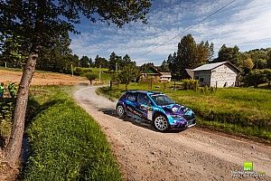 Płachytka nie odpuszcza