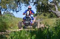 Wiśniewski w czoł&oacute;wce