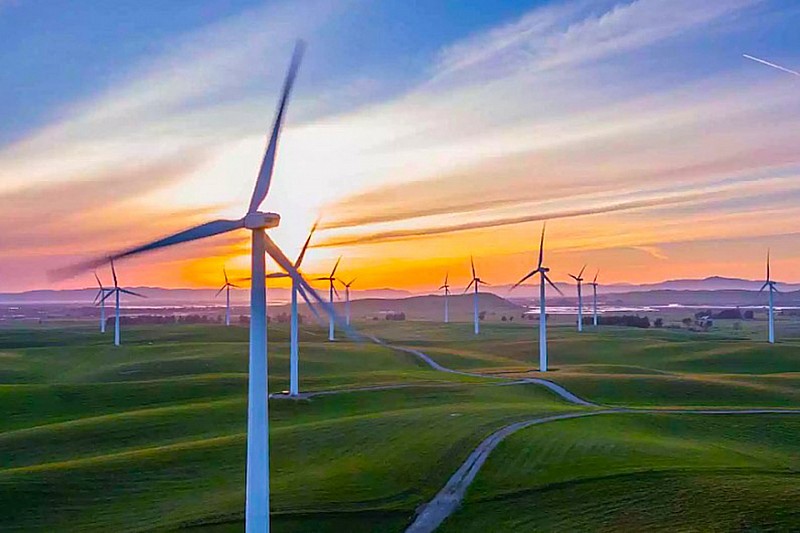 Endurance eRacing World Championship certified for zero emissions