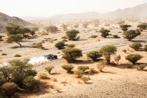 Nani Roma, satisfecho pese a perder tiempo tras Al-Attiyah en la Etapa 8