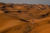 Marat&oacute;n en el Dakar: cuando lo habitual no es lo com&uacute;n