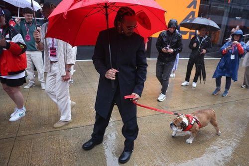 Przyjaciel Hamiltona zn&oacute;w w szpitalu