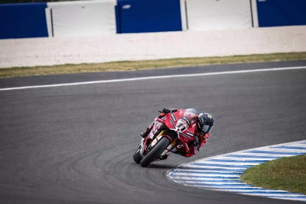 Bulega