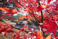 Horarios del Rally de Japón del WRC 2025, recorrido y cómo ver