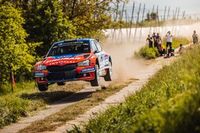 Niedzielny poranek dla Grzyba