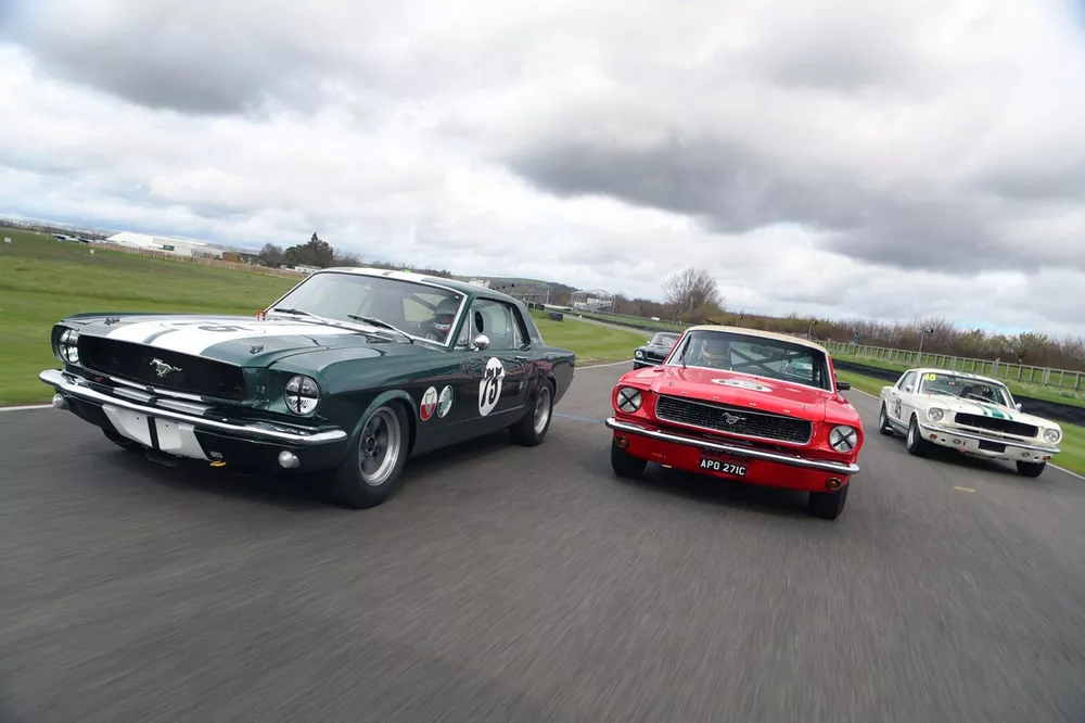 Mustang group photo
