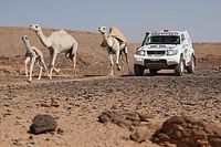 Dakar: Etap 9 - P&oacute;źniejsza pobudka