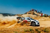 Pajari spokojny przed Akropolem