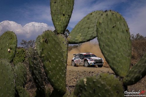 Powrót Rajdu Meksyku