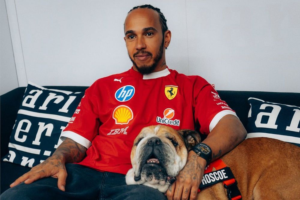 F1车坛团结支持刘易斯·汉密尔顿，悼念爱犬Roscoe离世