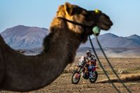 Dakar: Mówią po 7. etapie