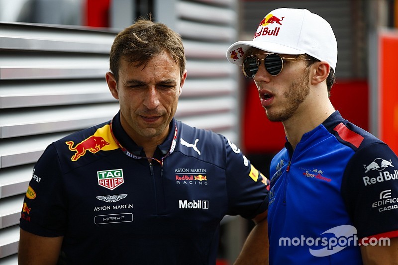 Red Bull підтвердила Гаслі на 2019 рік