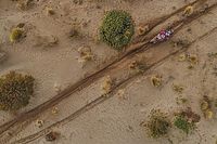 Price vuelve a ganar en un Dakar