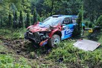 Szeja na czele, Grzyb poza drogą