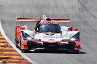 Acury w pierwszym rzędzie