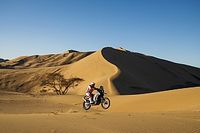 Speedy Gonçalves, un caballero del desierto