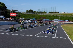 早い者勝ち 一枚100円 Jr.カード Yahoo!オークション - 早い者勝ち ナンジャモ SAR ポケカ ポケモンカー